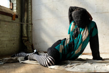 Load image into Gallery viewer, The Argyle Case
